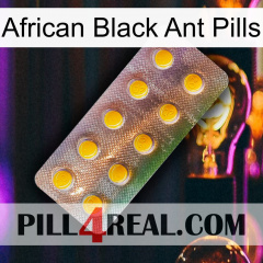 African Black Ant Pills new11